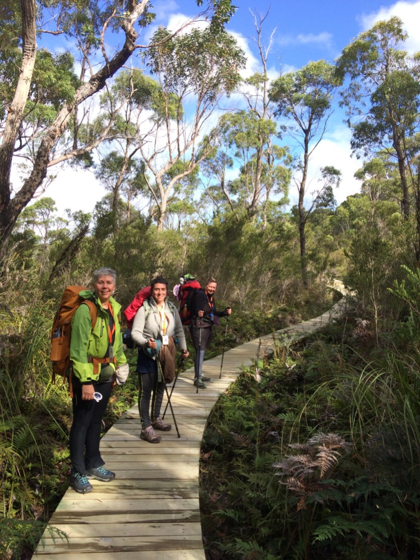 Four friends over 50 having an adventure in the wilderness of Australia