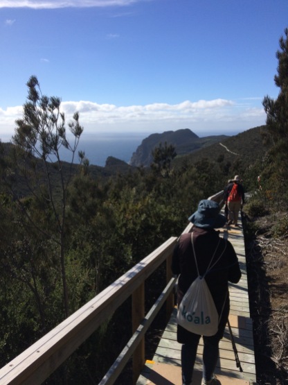 Walking for wellbeing through coastal plains in Tasmania, Australia
