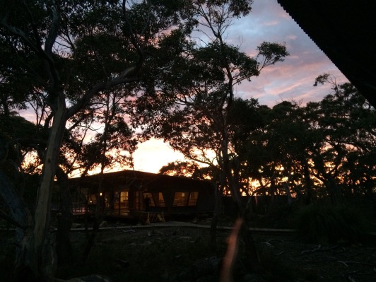#sunrise #dawnsky #gratitude #threecapestrack #australia #tasmania